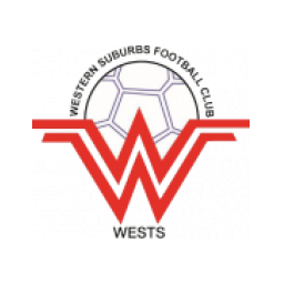 纳皮尔城流浪者